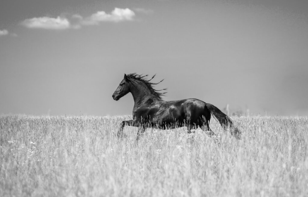 Digital